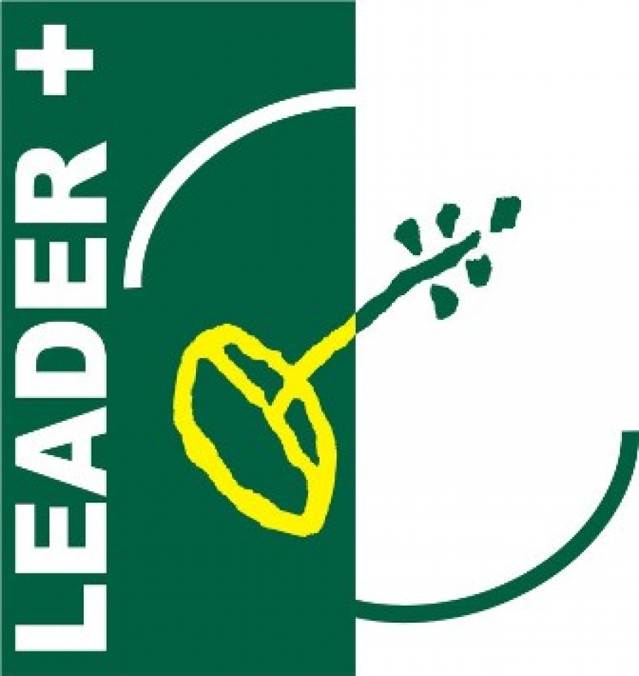 leader plus